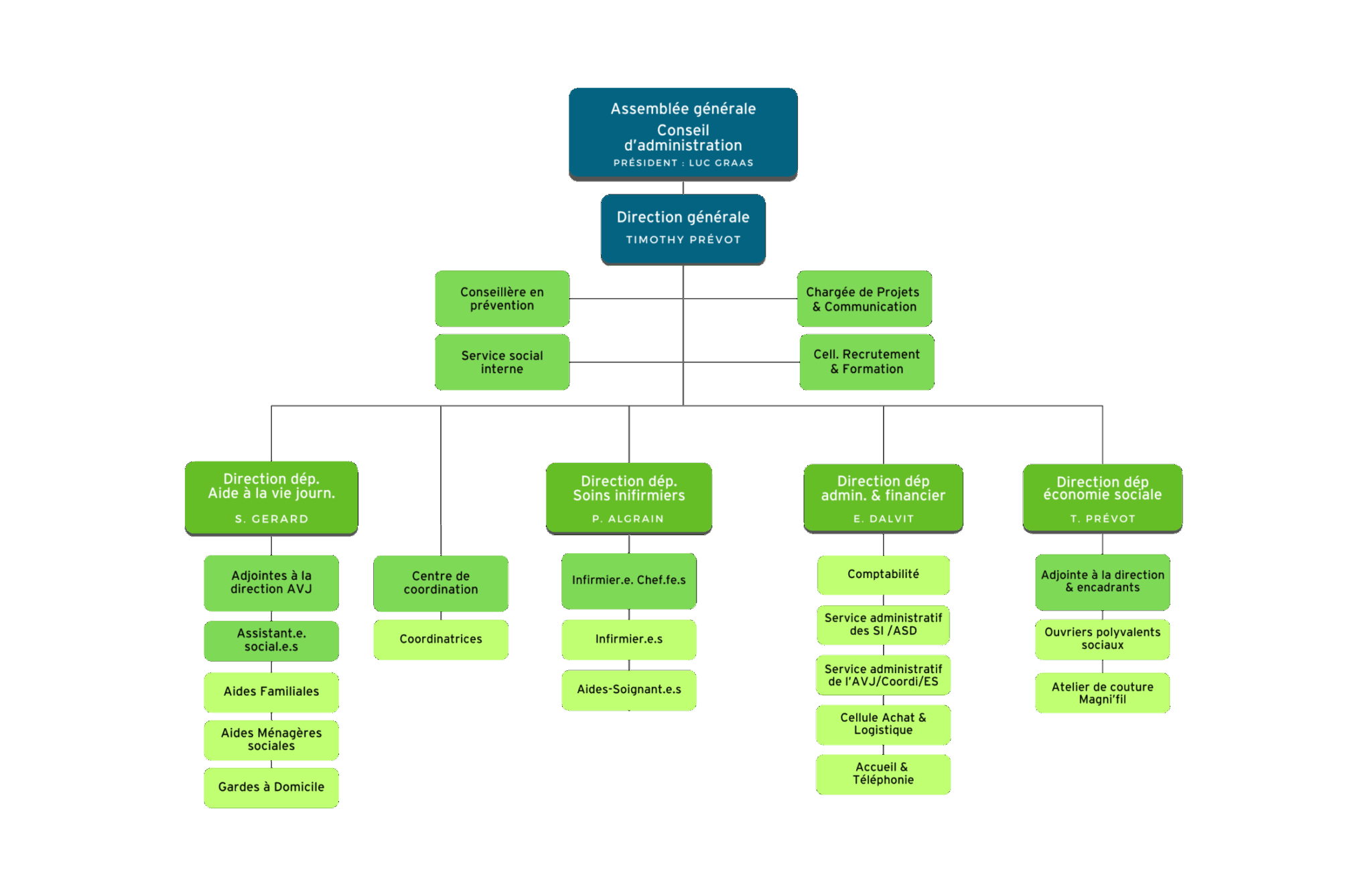 oraganigramme asd liège